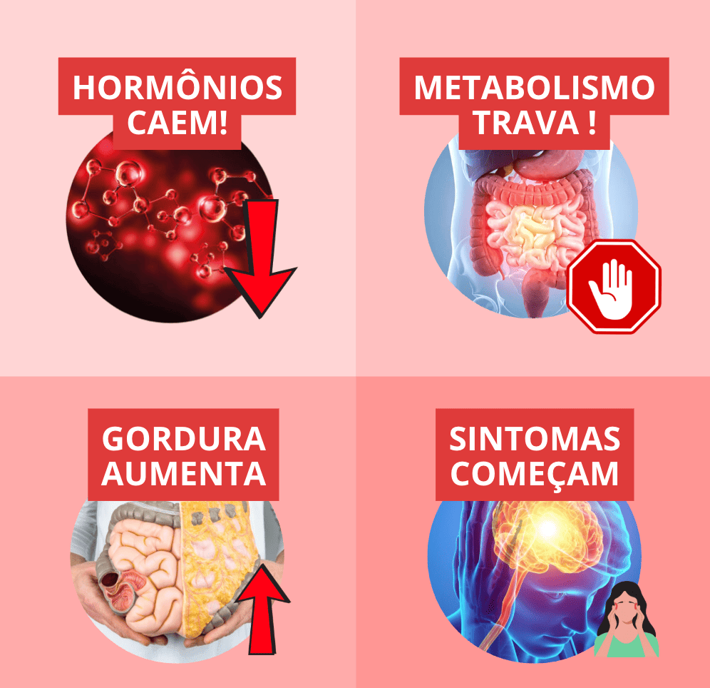 Hormônios